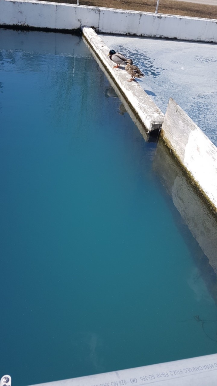 Treated Wastewater After Ozone